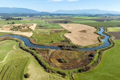 Riparian Areas
